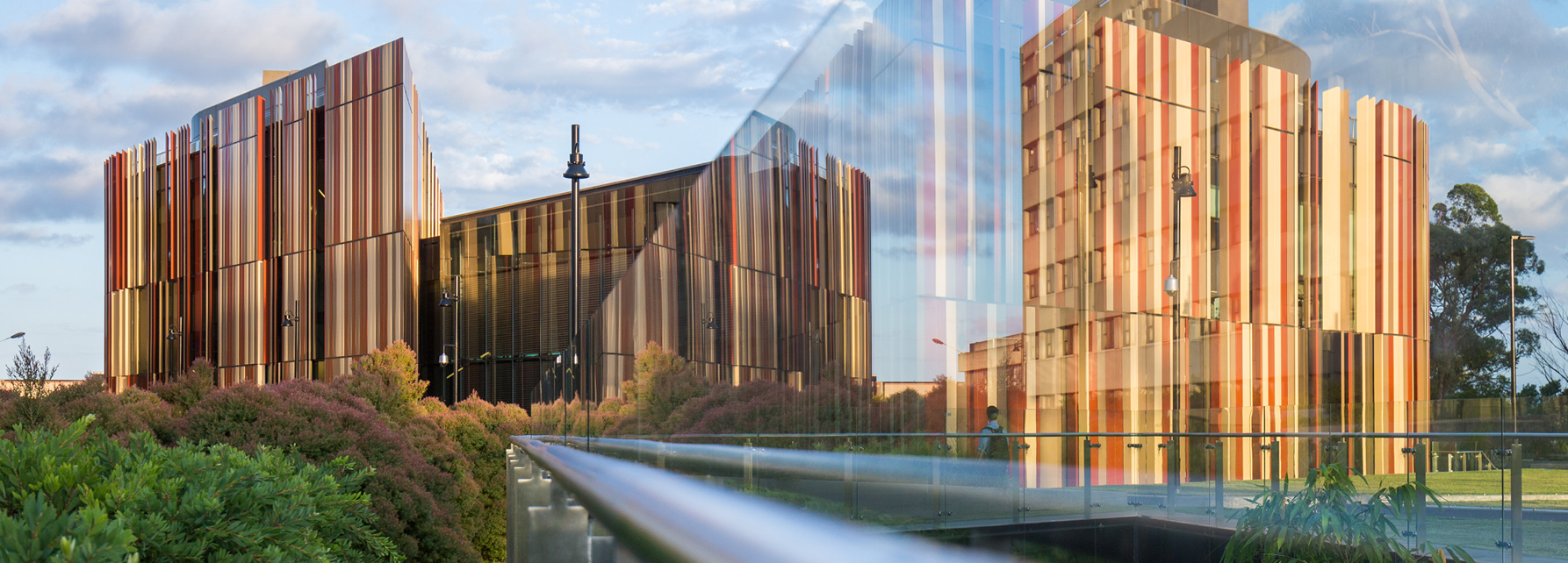 master of applied linguistics and tesol macquarie university